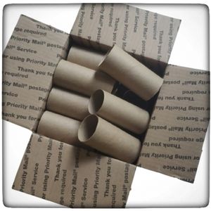 Empty Toilet Paper Rolls For Crafts-18 Count